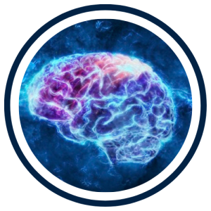 Brain Food That Works